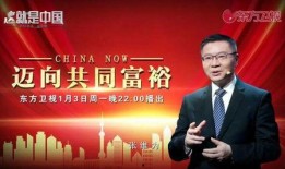 东方卫视新闻如何爆料的,新闻爆料背后的真相